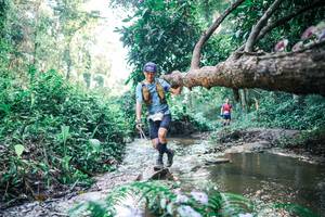 BIB: 
                            <button type="button" onclick="openModal(25434349)" class="btn btn-primary btn-sm float-right btn-popup" data-toggle="modal" data-target=".modal-high-quality">
                        <i class="fas fa-shopping-cart"></i> Add to Cart
                    </button>
                                            <button type="button" onclick="isThisMe(25434349, true)" class="btn btn-success btn-sm float-right btn-popup btn-isme hidden" data-toggle="tooltip" data-placement="bottom" title="นี่คือรูปของคุณใช่ไหม คลิกที่นี่เพื่อเอาเข้าอัลบั้ม">
                        <i class="fas fa-plus"></i> Add to album
                    </button>
                    <button type="button" onclick="isThisMe(25434349, false)" class="btn btn-warning btn-sm float-right btn-popup btn-isnotme hidden">
                        <i class="fas fa-ban"></i> Remove from album
                    </button>